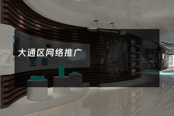 大通区网络推广