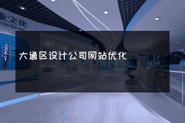 大通区设计公司网站优化