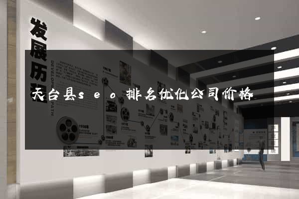 天台县seo排名优化公司价格