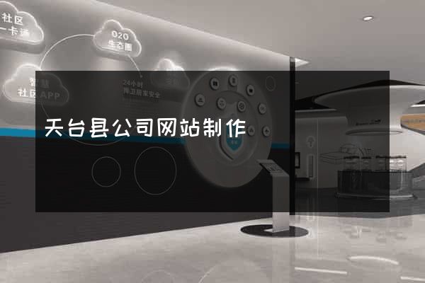 天台县公司网站制作