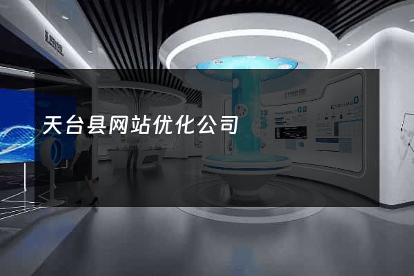 天台县网站优化公司