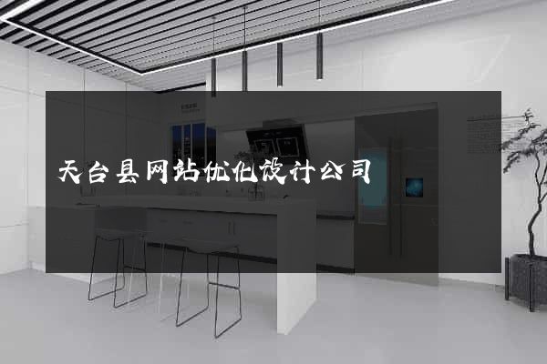 天台县网站优化设计公司
