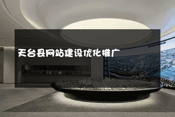 天台县网站建设优化推广