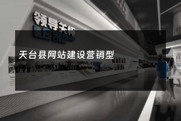 天台县网站建设营销型