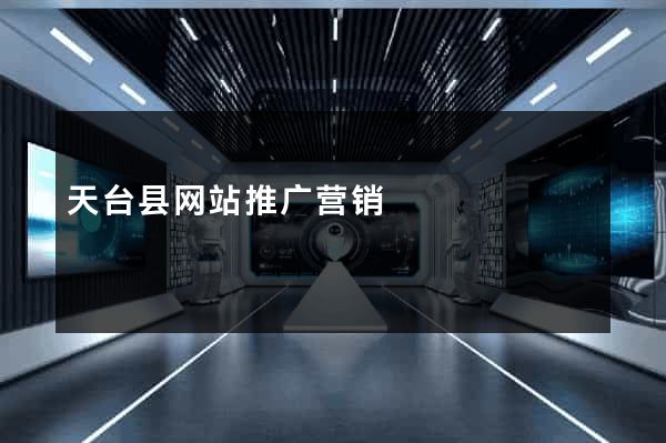 天台县网站推广营销