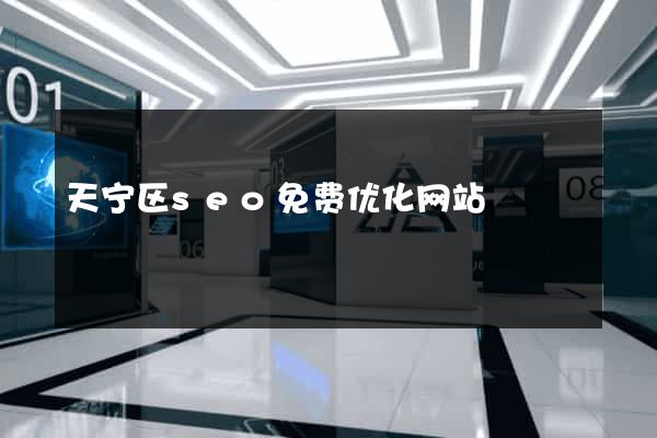 天宁区seo免费优化网站