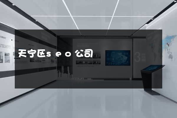 天宁区seo公司