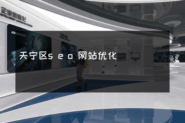 天宁区seo网站优化