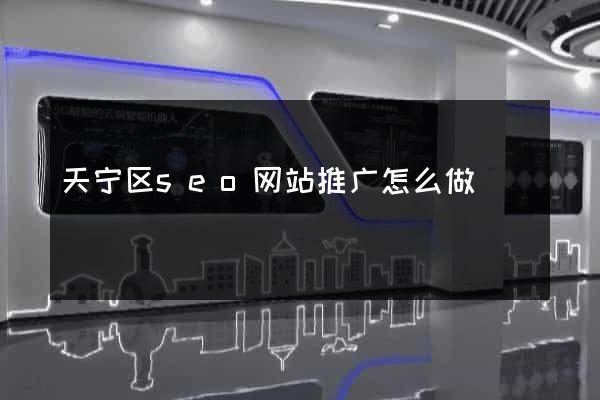 天宁区seo网站推广怎么做