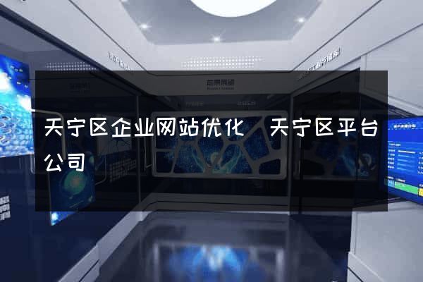 天宁区企业网站优化(天宁区平台公司)