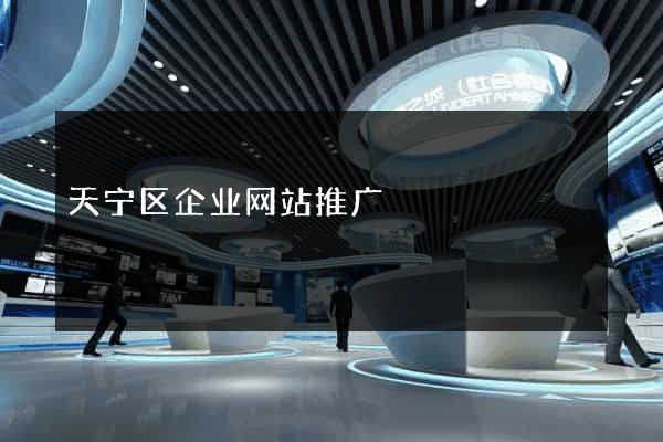 天宁区企业网站推广