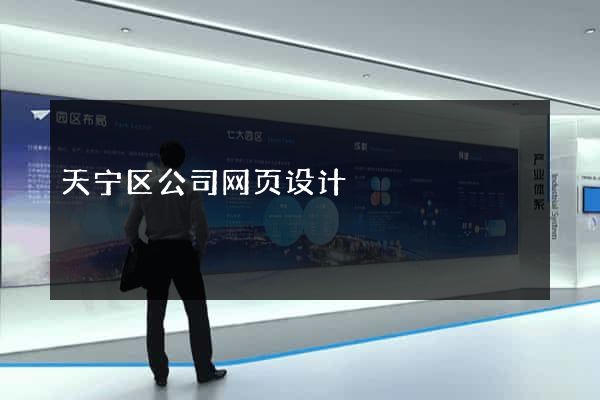 天宁区公司网页设计