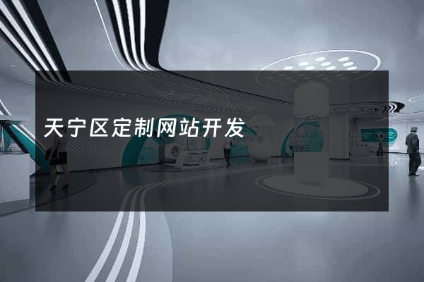 天宁区定制网站开发