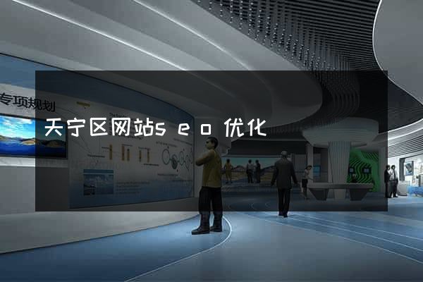 天宁区网站seo优化
