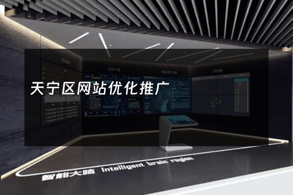 天宁区网站优化推广