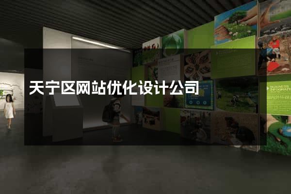 天宁区网站优化设计公司