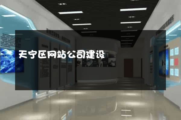 天宁区网站公司建设