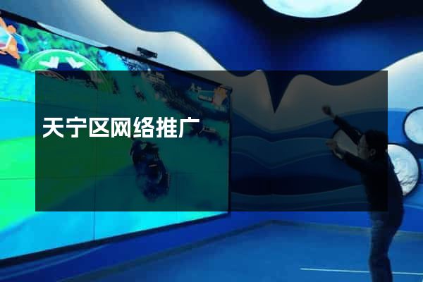 天宁区网络推广