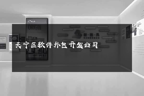 天宁区软件外包开发公司