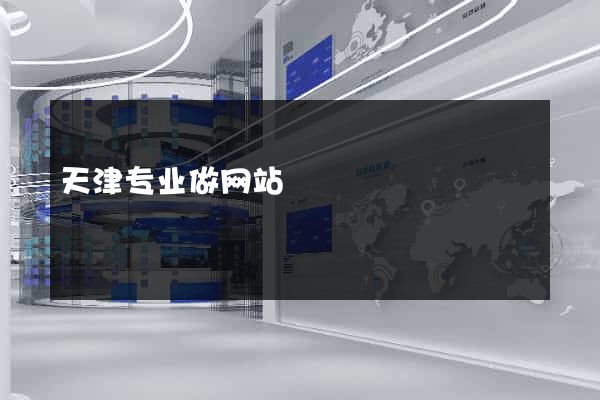 天津专业做网站