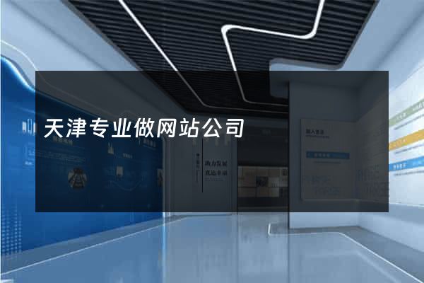 天津专业做网站公司