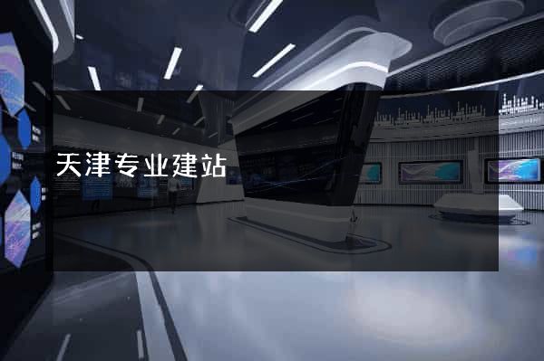 天津专业建站