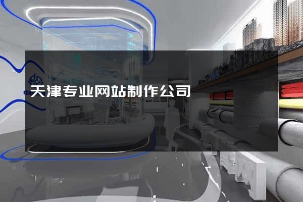 天津专业网站制作公司