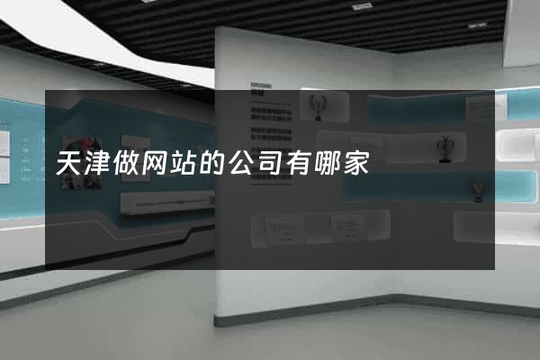 天津做网站的公司有哪家