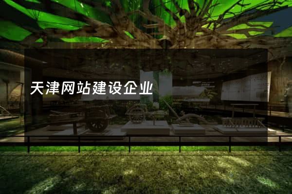 天津网站建设企业