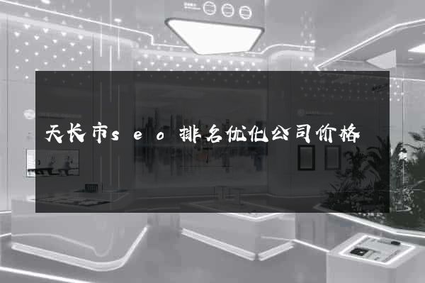 天长市seo排名优化公司价格