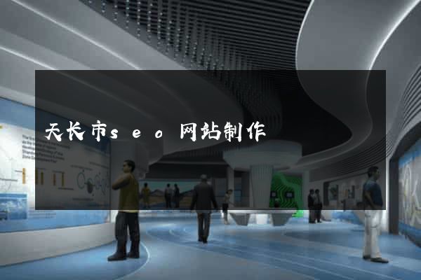 天长市seo网站制作