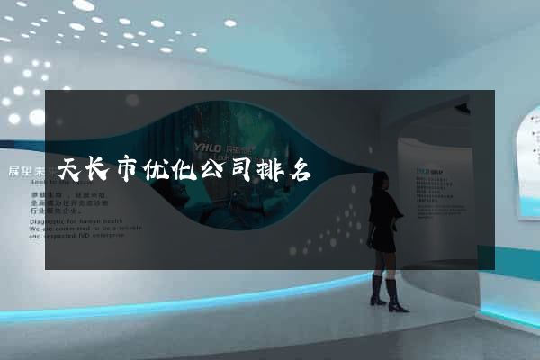 天长市优化公司排名