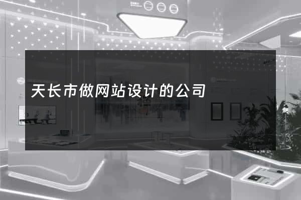 天长市做网站设计的公司