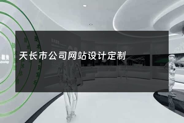天长市公司网站设计定制