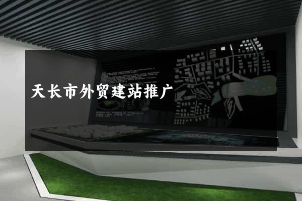 天长市外贸建站推广