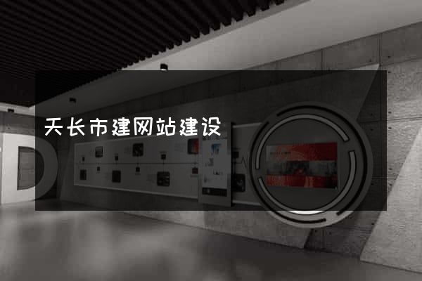 天长市建网站建设