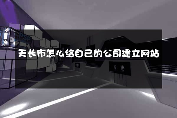 天长市怎么给自己的公司建立网站