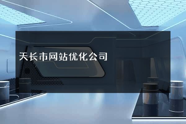 天长市网站优化公司