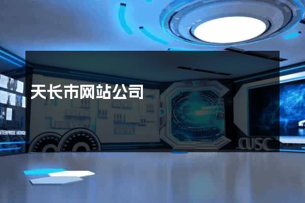 天长市网站公司