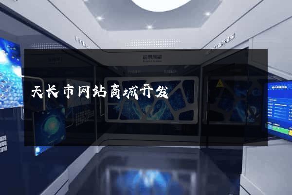 天长市网站商城开发