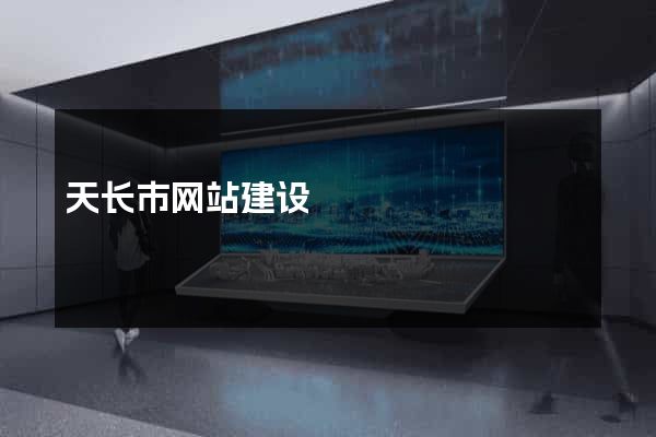天长市网站建设