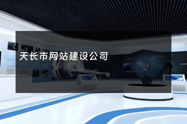 天长市网站建设公司