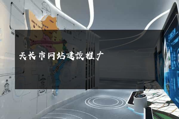 天长市网站建设推广