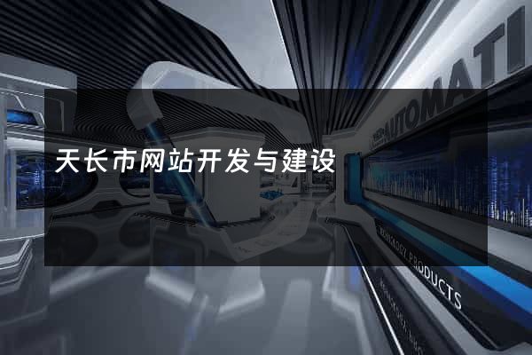 天长市网站开发与建设