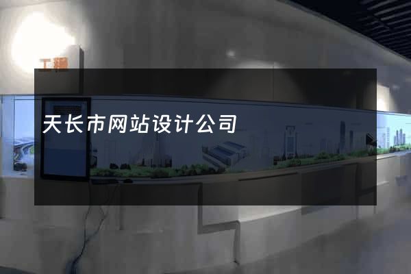 天长市网站设计公司
