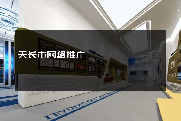 天长市网络推广