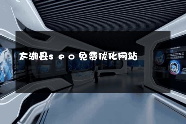 太湖县seo免费优化网站