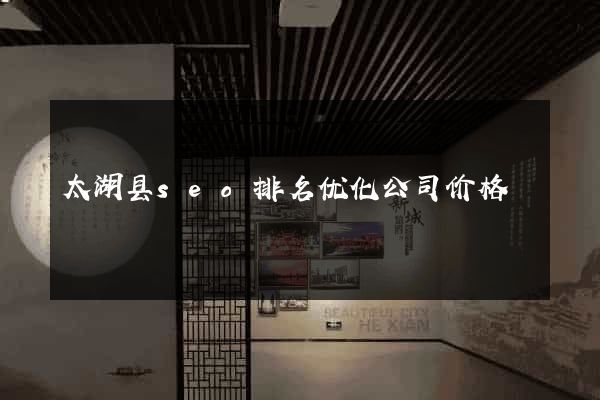 太湖县seo排名优化公司价格