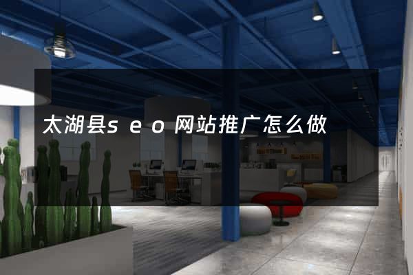 太湖县seo网站推广怎么做