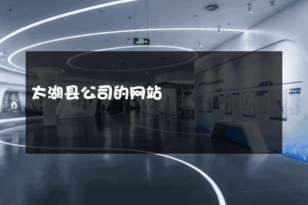 太湖县公司的网站